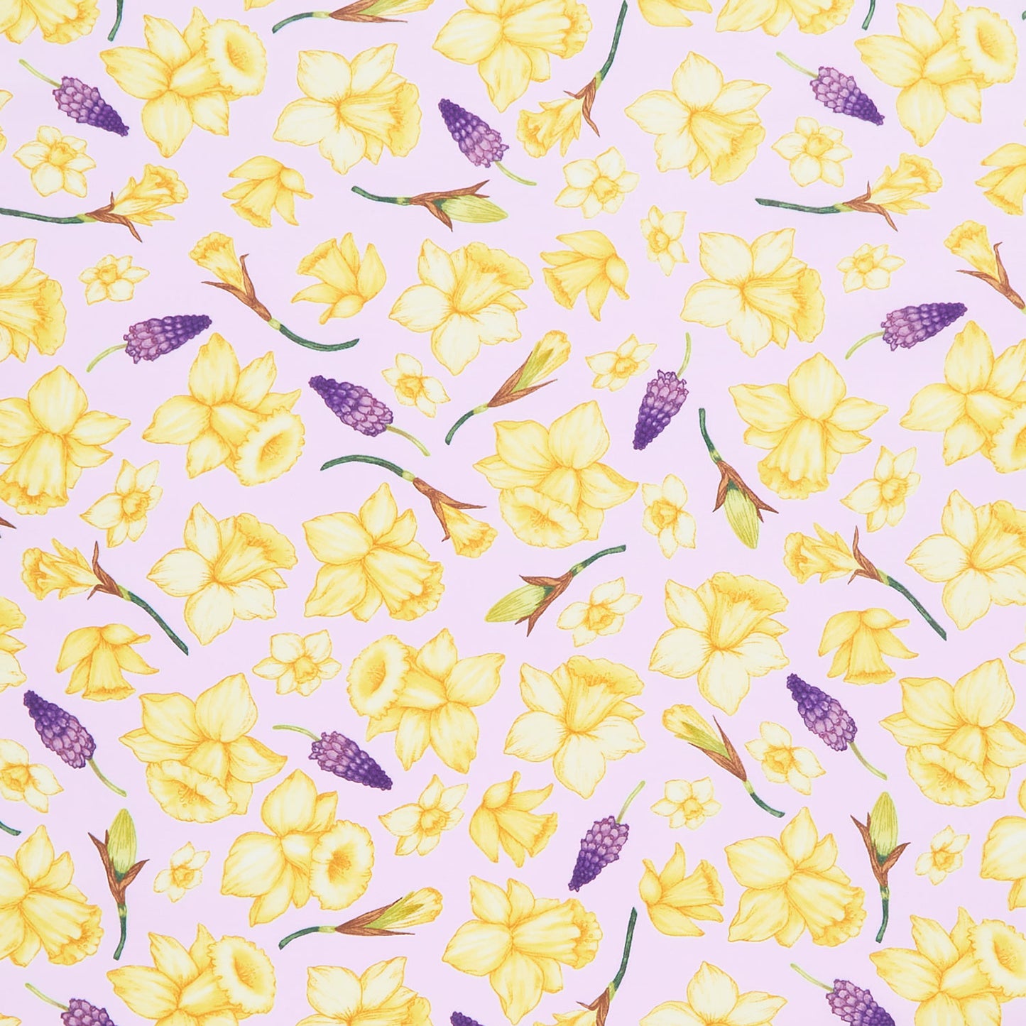 Monthly Placemat Coordinate - Daffodils Lavender Yardage Primary Image