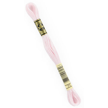 DMC Embroidery Floss - 23 Apple Blossom Primary Image