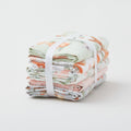 Baby in Bloom 5 Piece Fat Quarter Bundle Alternative View #1