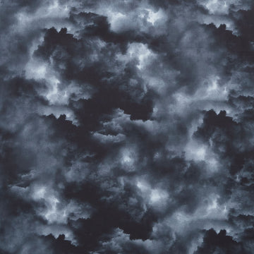 Dragon's Lair - Dark Grey Cloud Sky Grey Yardage Primary Image