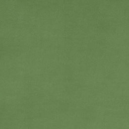 Cuddle® Extra Wide - Basil Yardage Primary Image