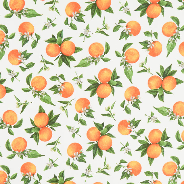 Monthly Placemat Coordinate Oranges Cream Yardage
