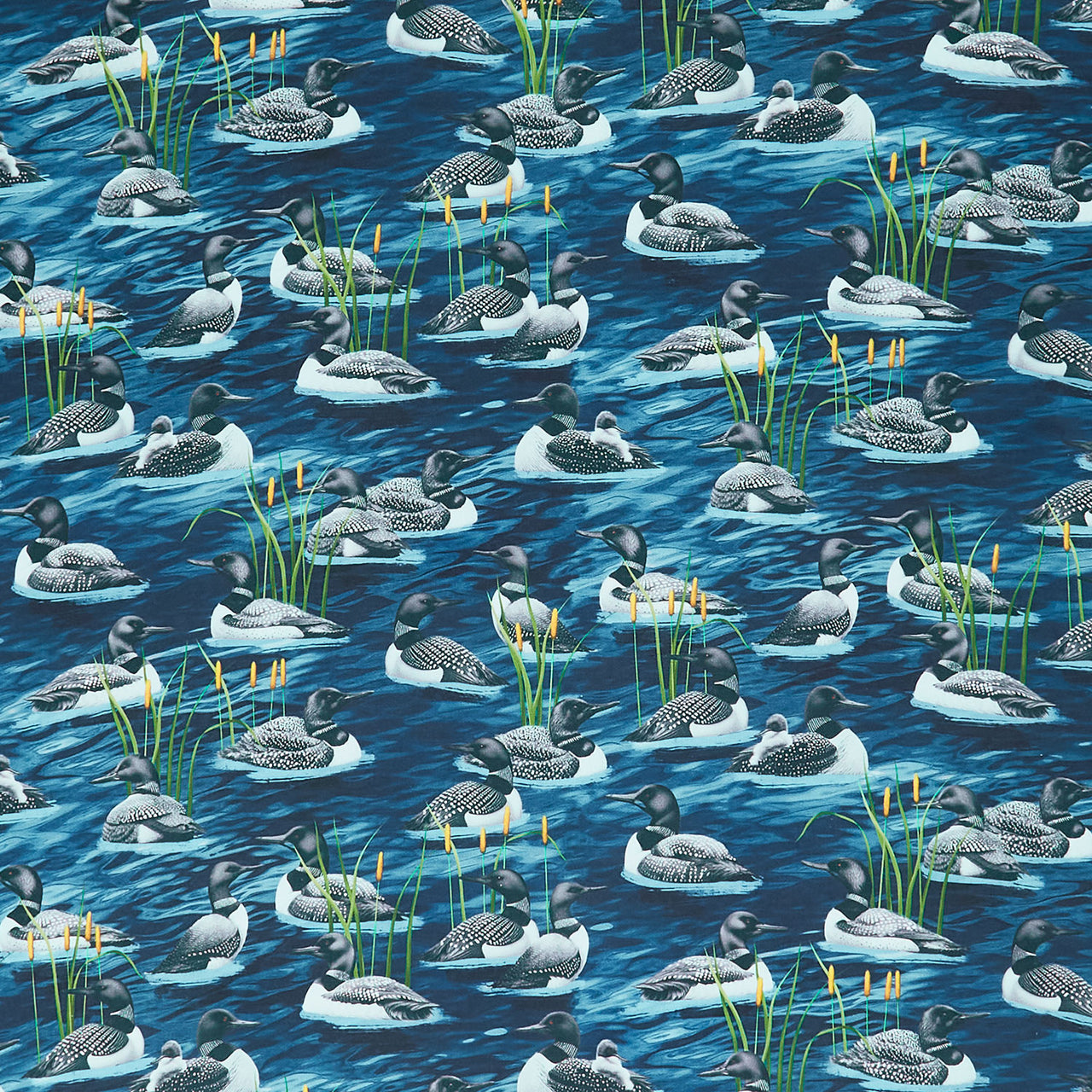 Novelty - Lake Life Loons Blue Yardage Primary Image