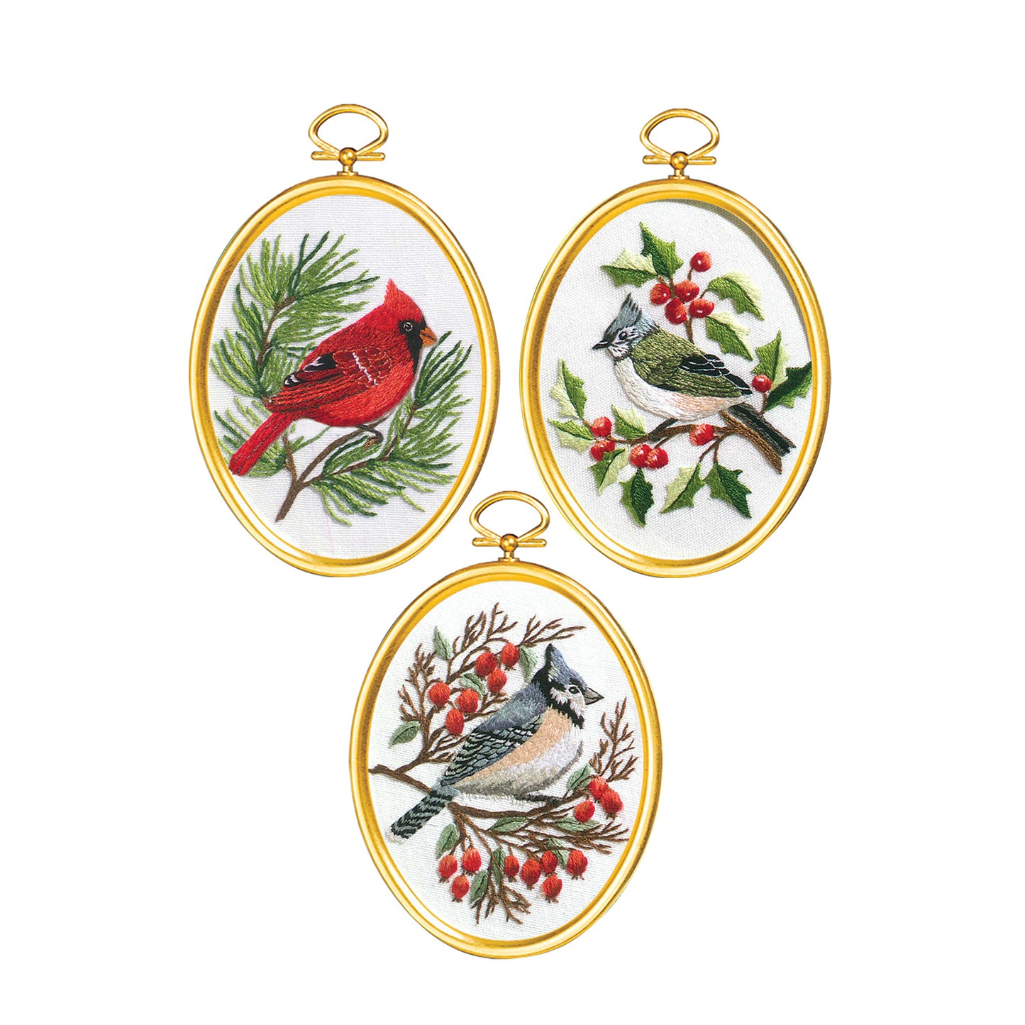 Winter Birds Embroidery Set Kit Primary Image