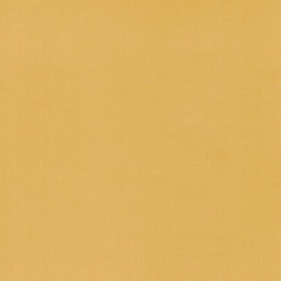 Confetti Cottons - Golden Yardage