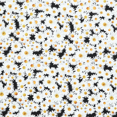 Advice from a Sunflower - Blooming Packed Daisys Black Yardage