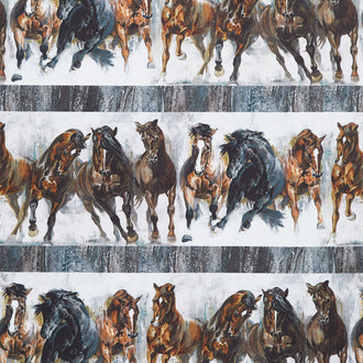 Stallion - Border Stripe Gray Multi Yardage