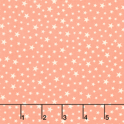 Owl-o-Ween - Stars Pumpkin Yardage