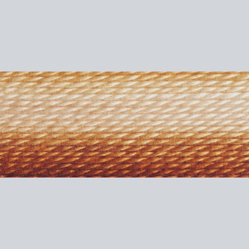 DMC Embroidery Floss - 105 Variegated Tan/Brown Alternative View #1