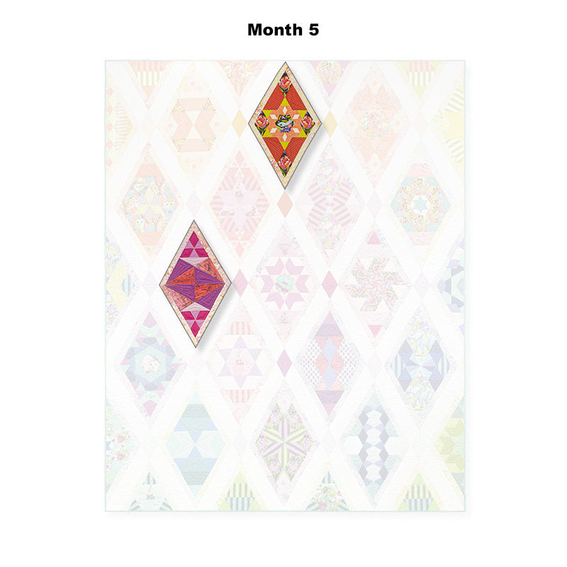 Tula Pink Queen of Diamonds Block of the Month Alternative View #5