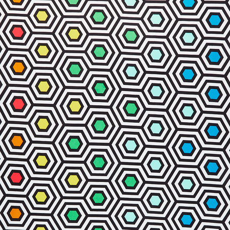 Tula Pink's True Colors - Rainbow Hexy XL Ink 108" Yardage