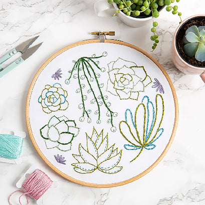 Succulents Embroidery KIt