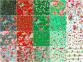 Yuletide Bouquet Favorites Ten Square Alternative View #2