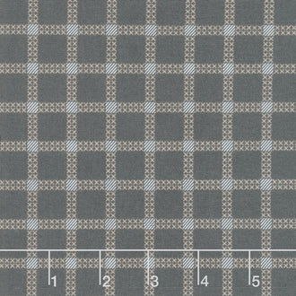 Dawn on the Prairie - Stitch Check Charcoal Night Yardage