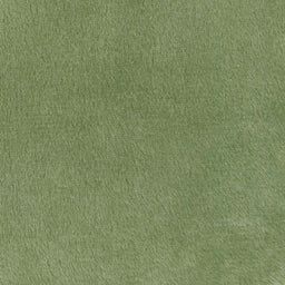 Cuddle® Solids - Cactus 60" Minky Yardage Primary Image