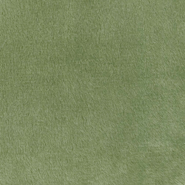 Cuddle® Solids - Cactus 60" Minky Yardage Primary Image