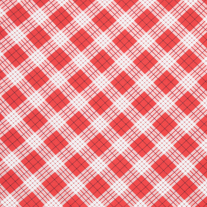Bundle-Up - Bias Plaid Red Yardage