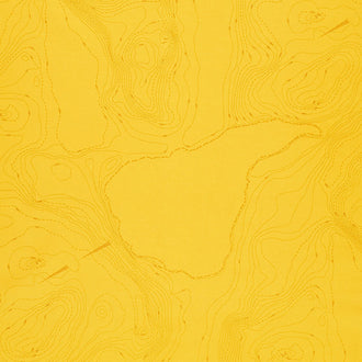 Sun Print 2023 - Topography Lemon Yardage