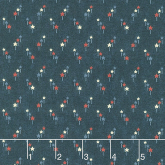 Freedom Road - Shooting Stars Blue Multi Yardage