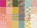 Eden Rolie Polie Alternative View #2
