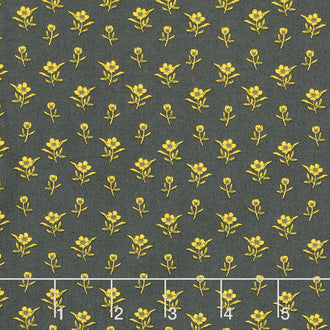Belle - Picked Flowers Charcoal Yardage