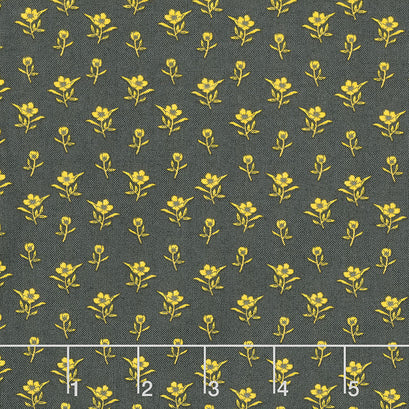 Belle - Picked Flowers Charcoal Yardage
