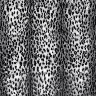 Luxe Cuddle® - Savanna Snow Black Yardage