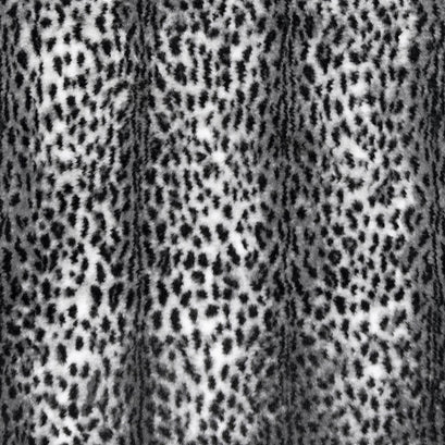 Luxe Cuddle® - Savanna Snow Black Yardage