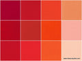 Kona Cotton - Darling Clementine Charm Pack Alternative View #1