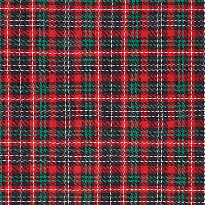 Lumberjack Gnomes - Lumberjack Buffalo Plaid Multi Yardage