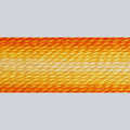 DMC Embroidery Floss - 51 Variegated Burnt Orange