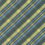 Charlotte (Art Gallery Quilts) - Better in Plaid Night Yardage Primary Image