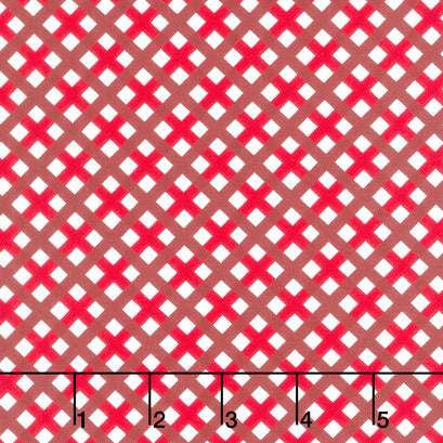 Sweet Freedom - Gingham Picnic Red Yardage