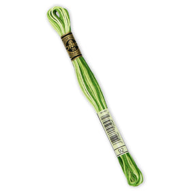 DMC Embroidery Floss - 92 Variegated Avocado Primary Image