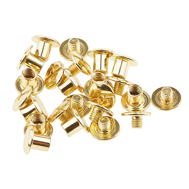 Sallie Tomato Small Chicago Screws 6mm - Set of 12 Gold Primary Image