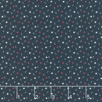 American Gatherings II - Space Star Navy Yardage