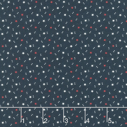 American Gatherings II - Space Star Navy Yardage