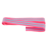 Tula Pink 1" Webbing - Blue Aqua and Hot Pink Primary Image