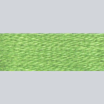 DMC Embroidery Floss - 989 Forest Green Alternative View #1