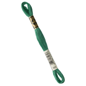 DMC Embroidery Floss - 163 Medium Caledon Green Primary Image