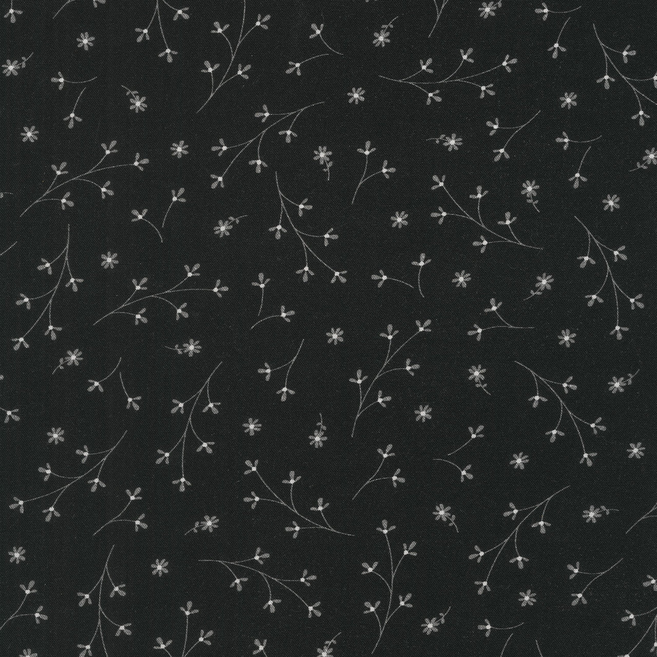 Kimberbell 108" Quilt Backing - Pretty Petals Black Yardage Primary Image