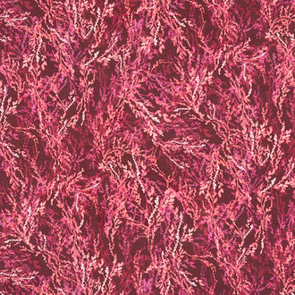 Leaflet - Leaves Burgundy Yardage