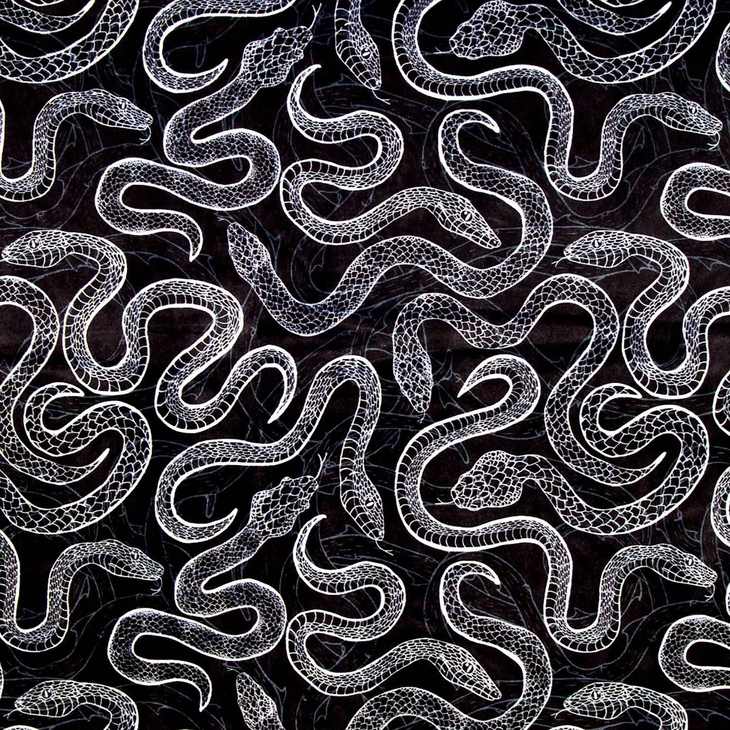Cuddle® Prints - Slithery Snake Black Digitally Printed Yardage Primary Image