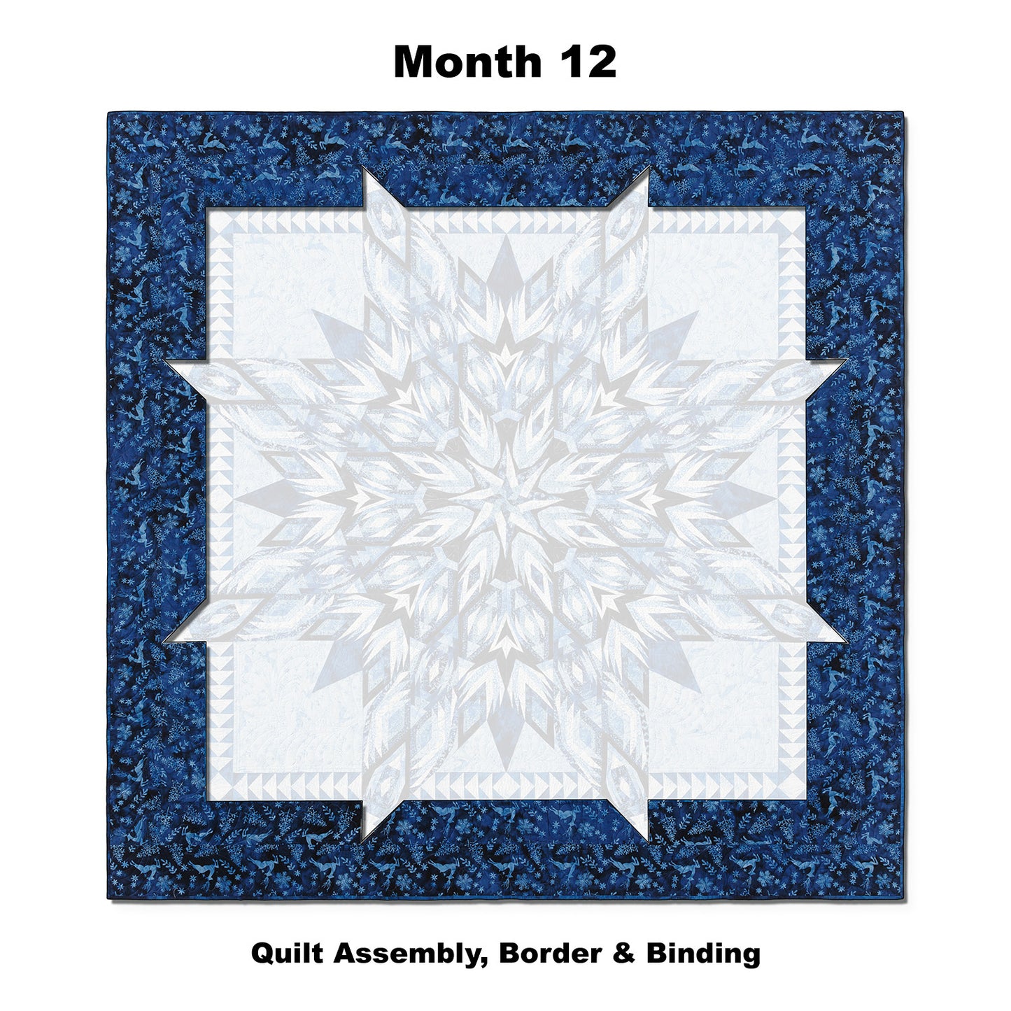 Winter's Glow Block of the Month Alternative View #13