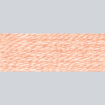 DMC Embroidery Floss - 754 Light Peach Alternative View #1