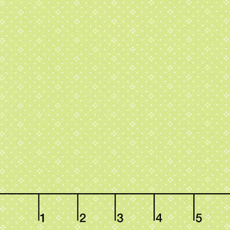 Fruit Cocktail - Eyelet Apple Yardage