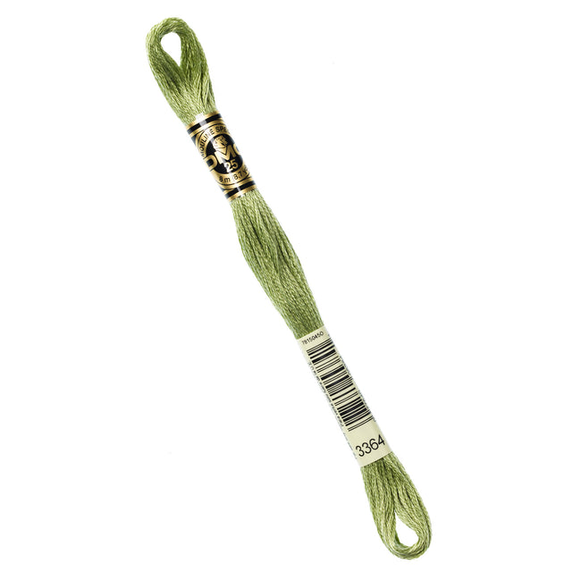 DMC Embroidery Floss - 3364 Pine Green Primary Image