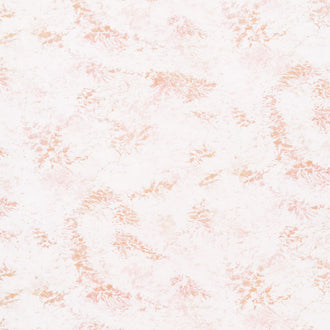 Earth Views - Clouds Natural Yardage