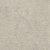 Luxe Cuddle® - Frosted Baby Seal Night Yardage Primary Image