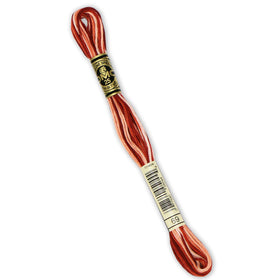 DMC Embroidery Floss - 69 Variegated Terra Cotta Primary Image